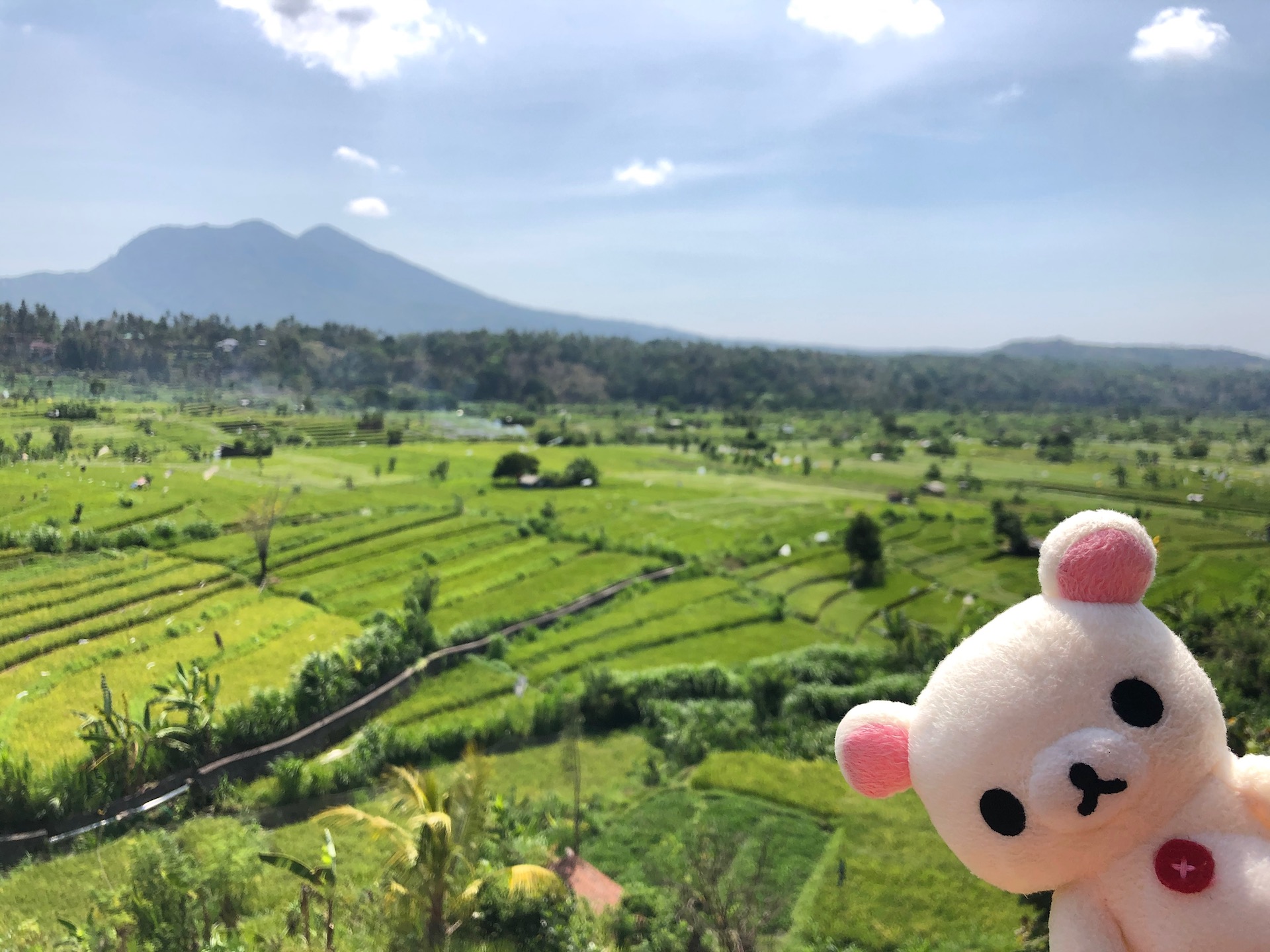 exploring-bali_2058