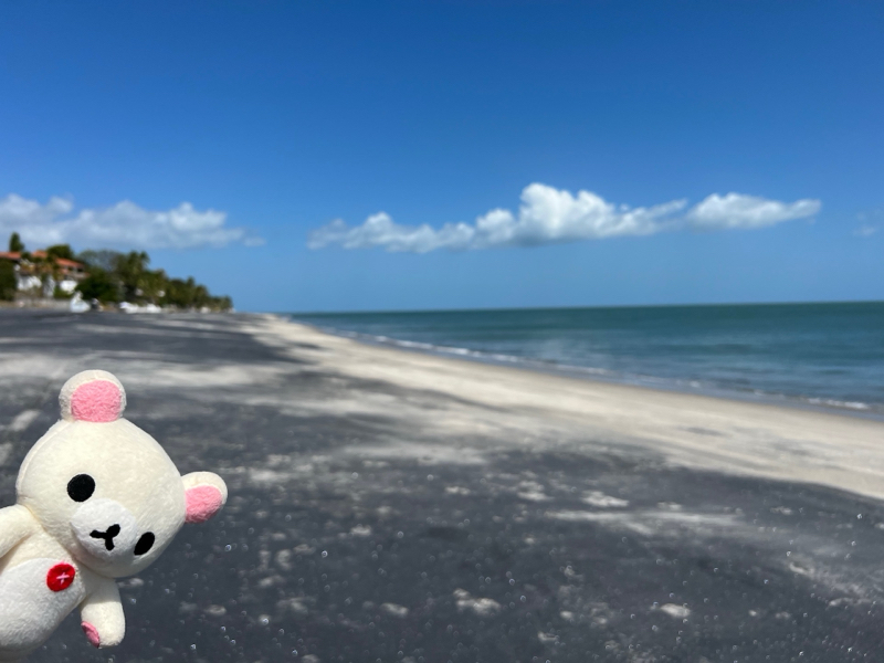 panama_coronado_9102